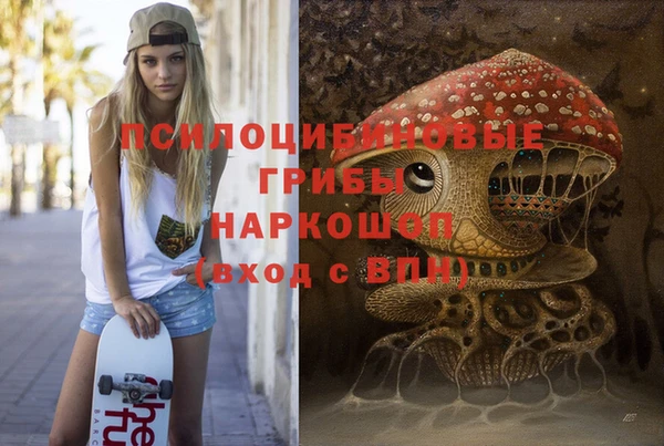 ECSTASY Тихвин
