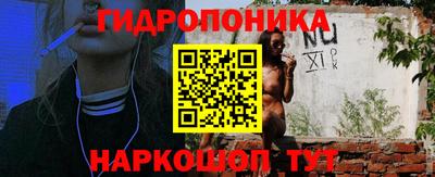 бошки Гусев