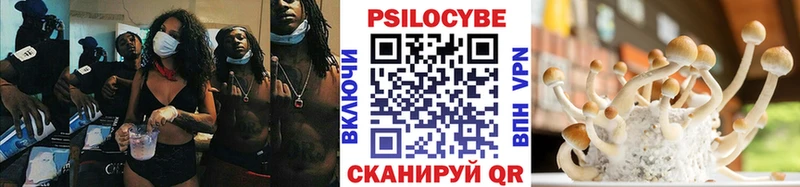 Псилоцибиновые грибы Psilocybine cubensis  Новосибирск 