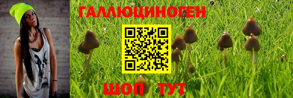 Галлюциногенные грибы Psilocybe  Вход с VPN  Новосибирск 